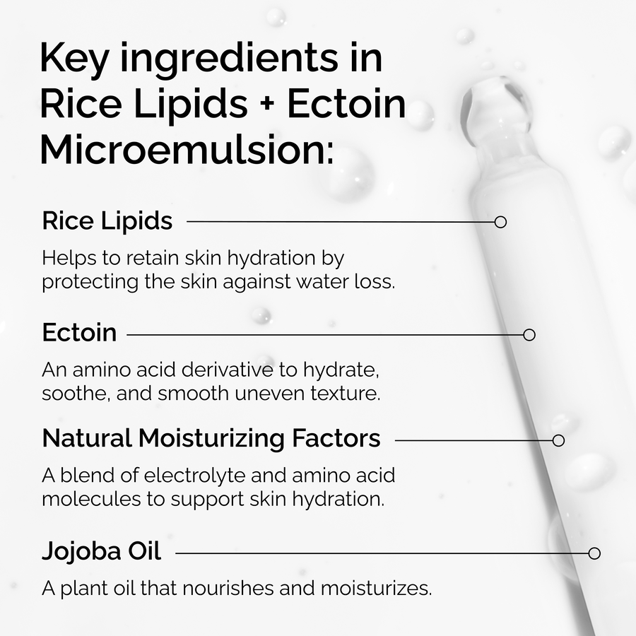 Infographic of key ingredients: Rice Lipids to retain hydration, Ectoin to soothe and smooth texture, Natural Moisturizing Factors to support hydration, and Jojoba Oil to nourish the skin.